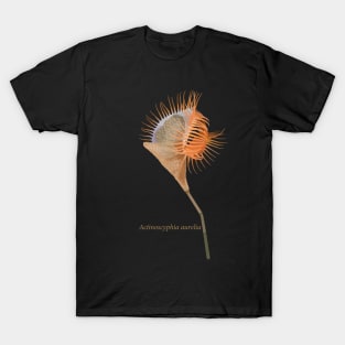 Venus flytrap sea anemone- Actinoscyphia aurelia T-Shirt